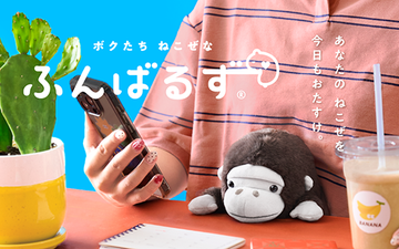 【NEW】 Posture Pal (L) Gorilla(大猩猩) / Red Panda(小熊貓) / Hippopotamus(河馬)