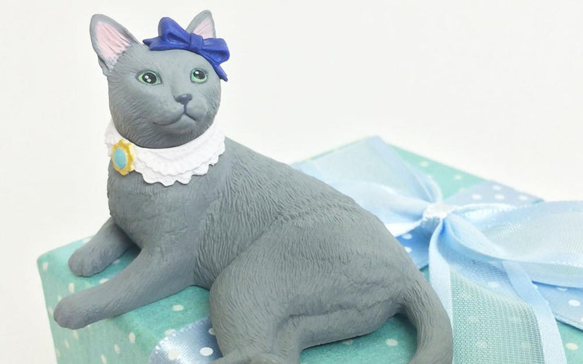 Amy's Favorite Cat