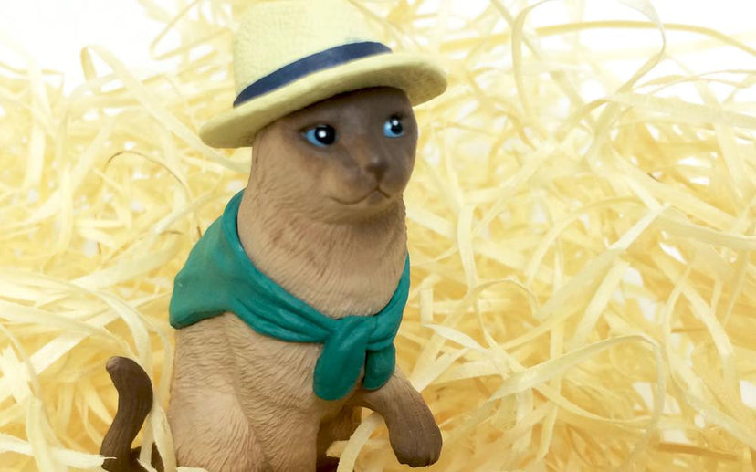 Amy's Favorite Cat