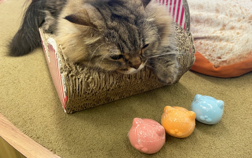 NEKOMOTE BATH BALL