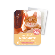 Motto NEKOMOTE - Cat nip x Rose -