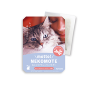 Motto NEKOMOTE - Cat thyme x Rosemary -