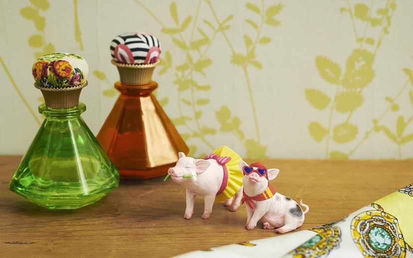 Lena's Favorite Mini Pig