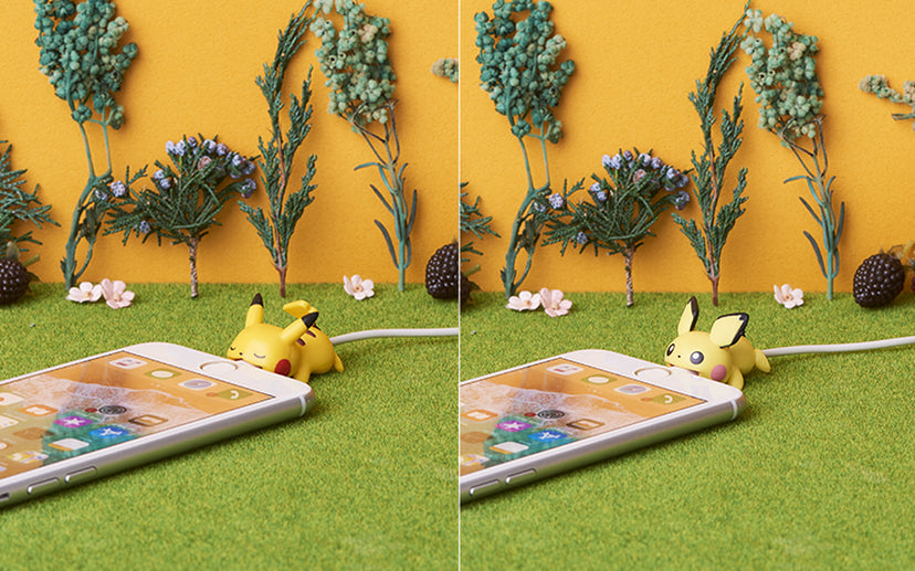 CABLE BITE Pokemon