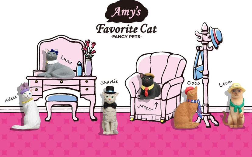 Amy's Favorite Cat