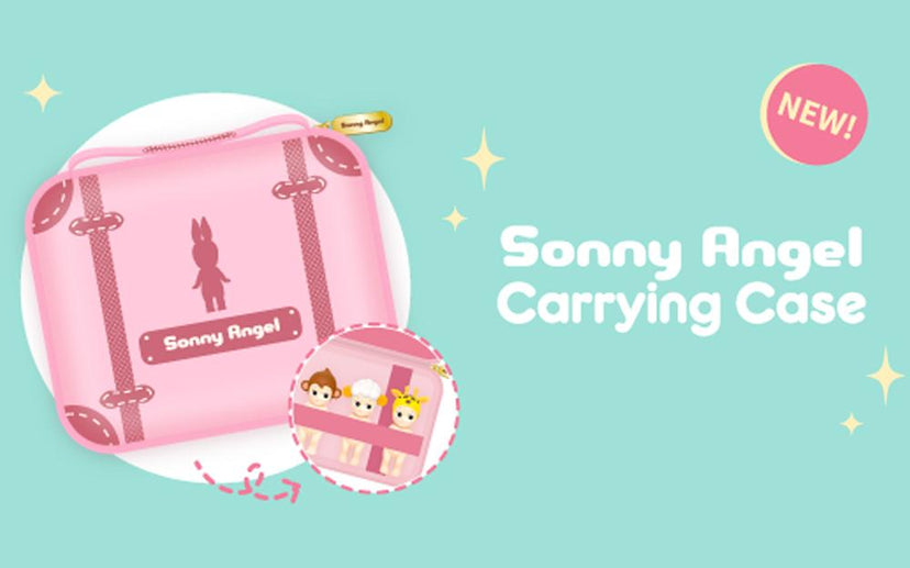 Carrying Case 2019